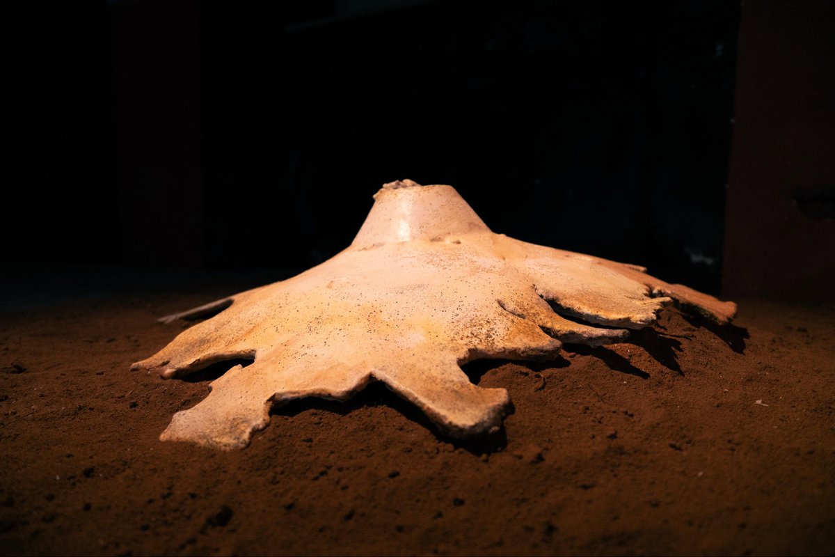 LIMITROFI tweet media