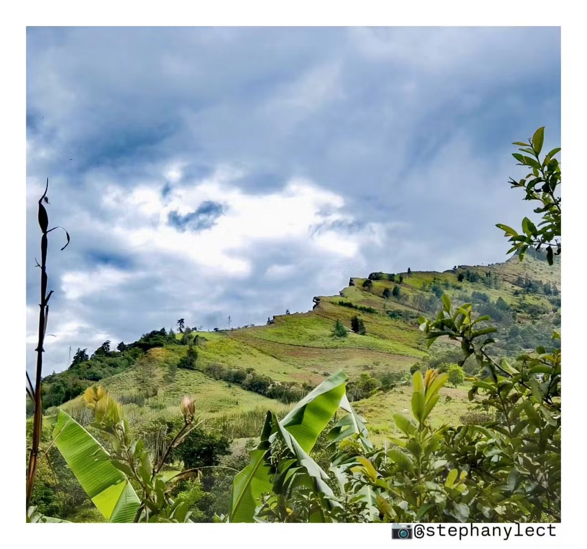 stephanyLect's tweet image. “¡Mira cómo yo cambio, hermoso cielo! 
Después de tanto orgullo y tan extraña 
pereza, tan repleta de potencia, 
a este espacio brillante me abandono...&quot; 

—Paul Valéry/ el cementerio marino
#fotografia #books #poesia
