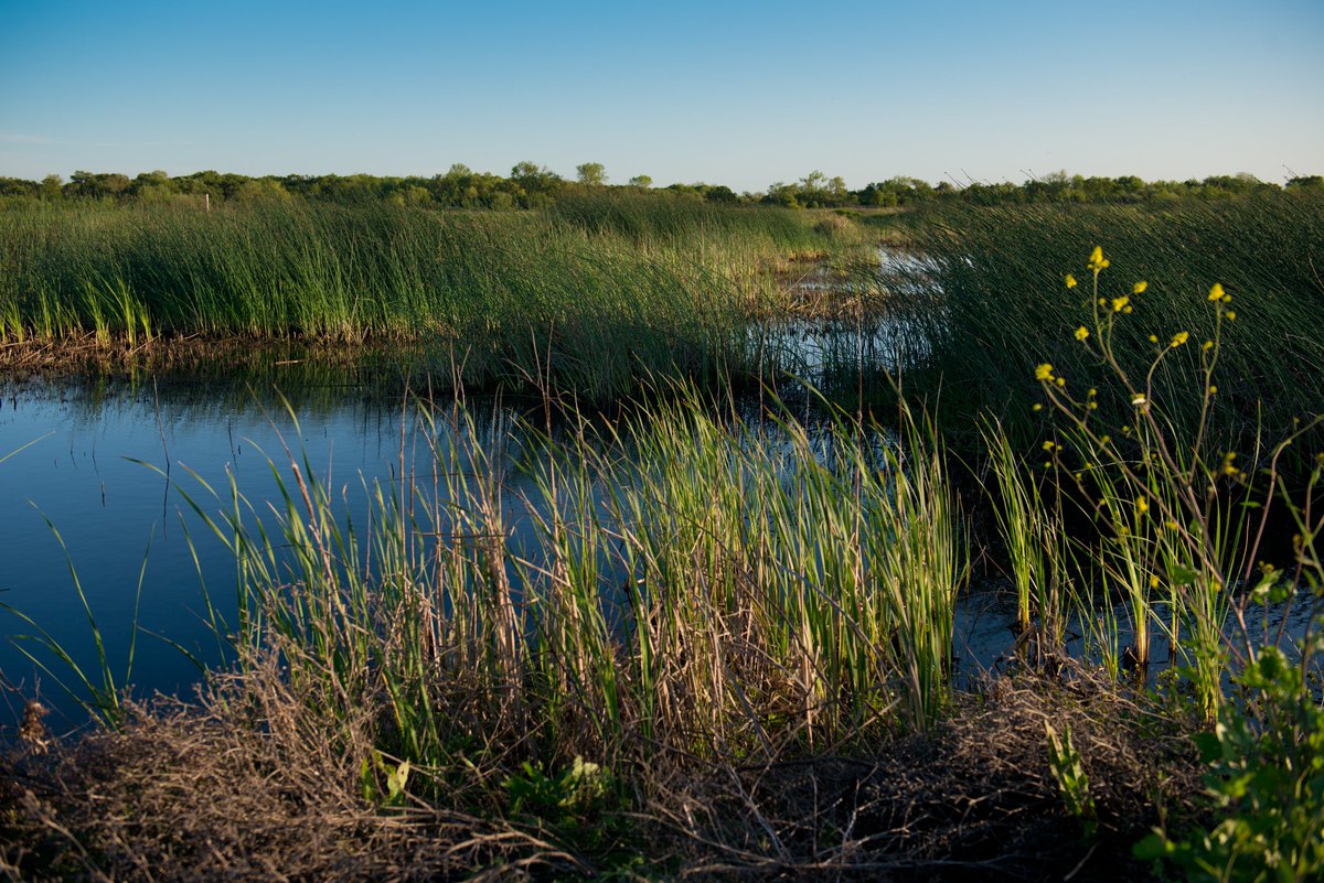 CSU-WATER tweet media