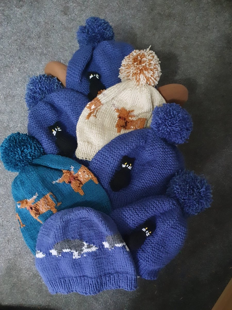 LouiseWalton78's tweet image. ALL these knitted hats have been posted out to new homes this week- I hope you like my selection 💙🐕💙🐈‍⬛💙🐮