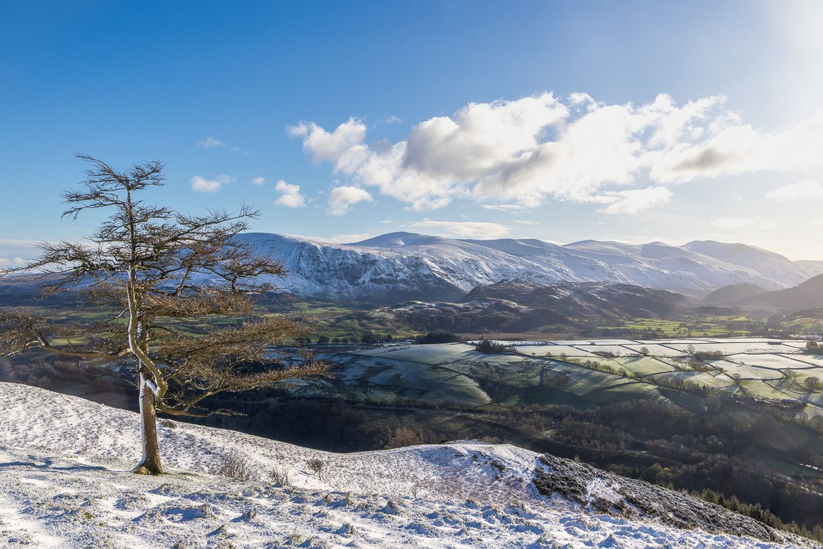 andrewswalks's tweet image. Walking in a winter wonderland on Latrigg today