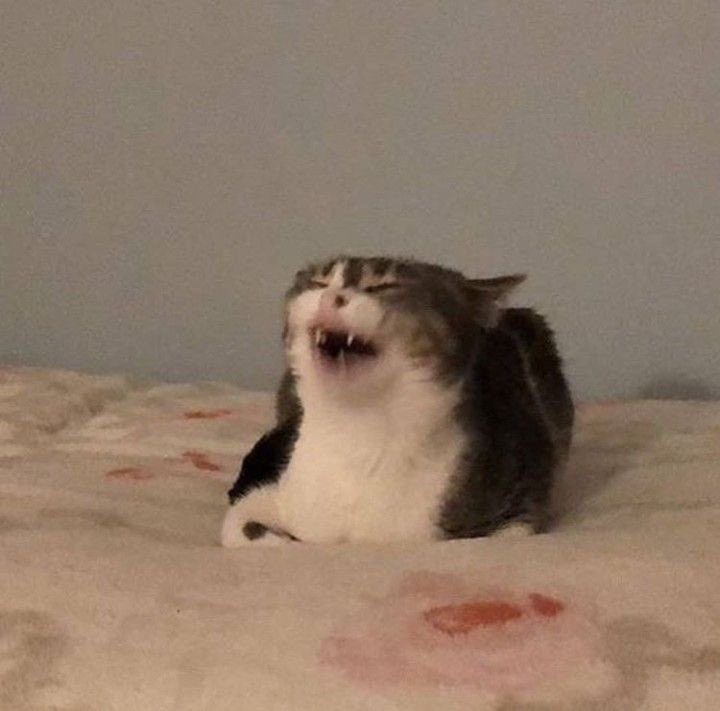 Yo viendo por milésima vez el video donde le piden ayuda a Jos y el saluda: