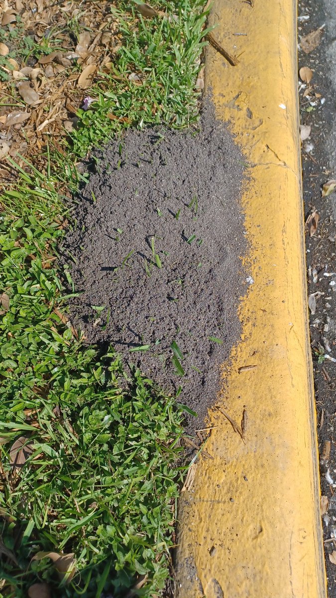 Branch Floridian tweet media