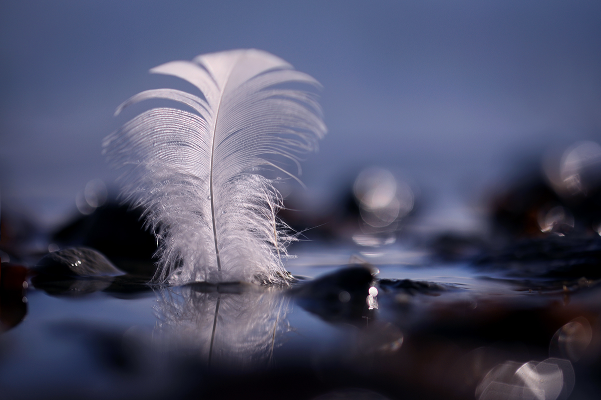 Vom Versuch, die Leichtigkeit wiederzufinden.