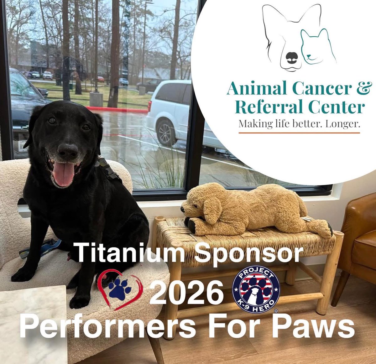 ProjectK9Hero's tweet image. 🌟 We are proud to welcome The Animal Cancer &amp;amp; Referral Center as a Titanium Sponsor for our 5th Annual Performers for Paws.

Their commitment to animal care and ongoing support of our retired Police K-9s and Military Working Dogs makes a lasting impact.

projectk9hero.org/pages/events