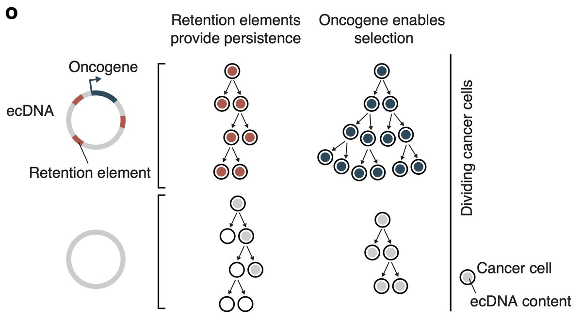 King L Hung tweet media