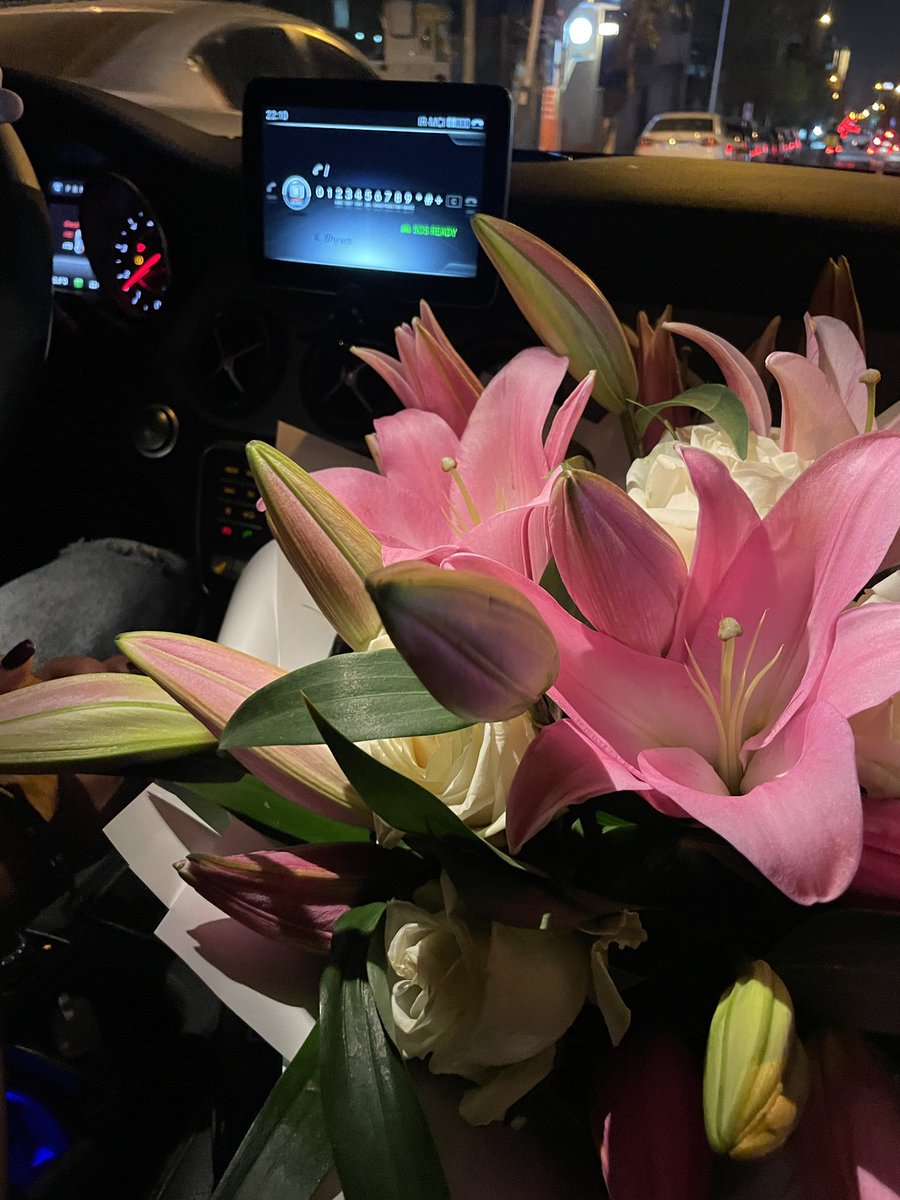 helia saeedi tweet media