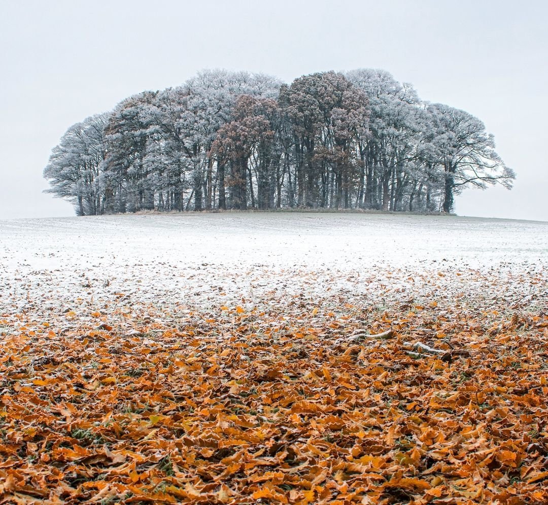 visitnorthyork's tweet image. Autumn &amp;amp; Winter in one Image ❄️🍁