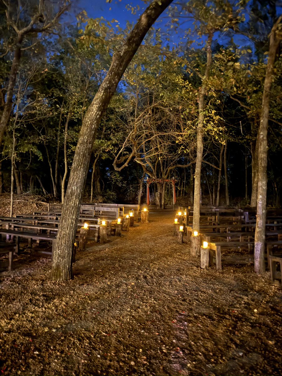 castoffyrdoubt's tweet image. life outside twt lately 🕯️♥️🍂