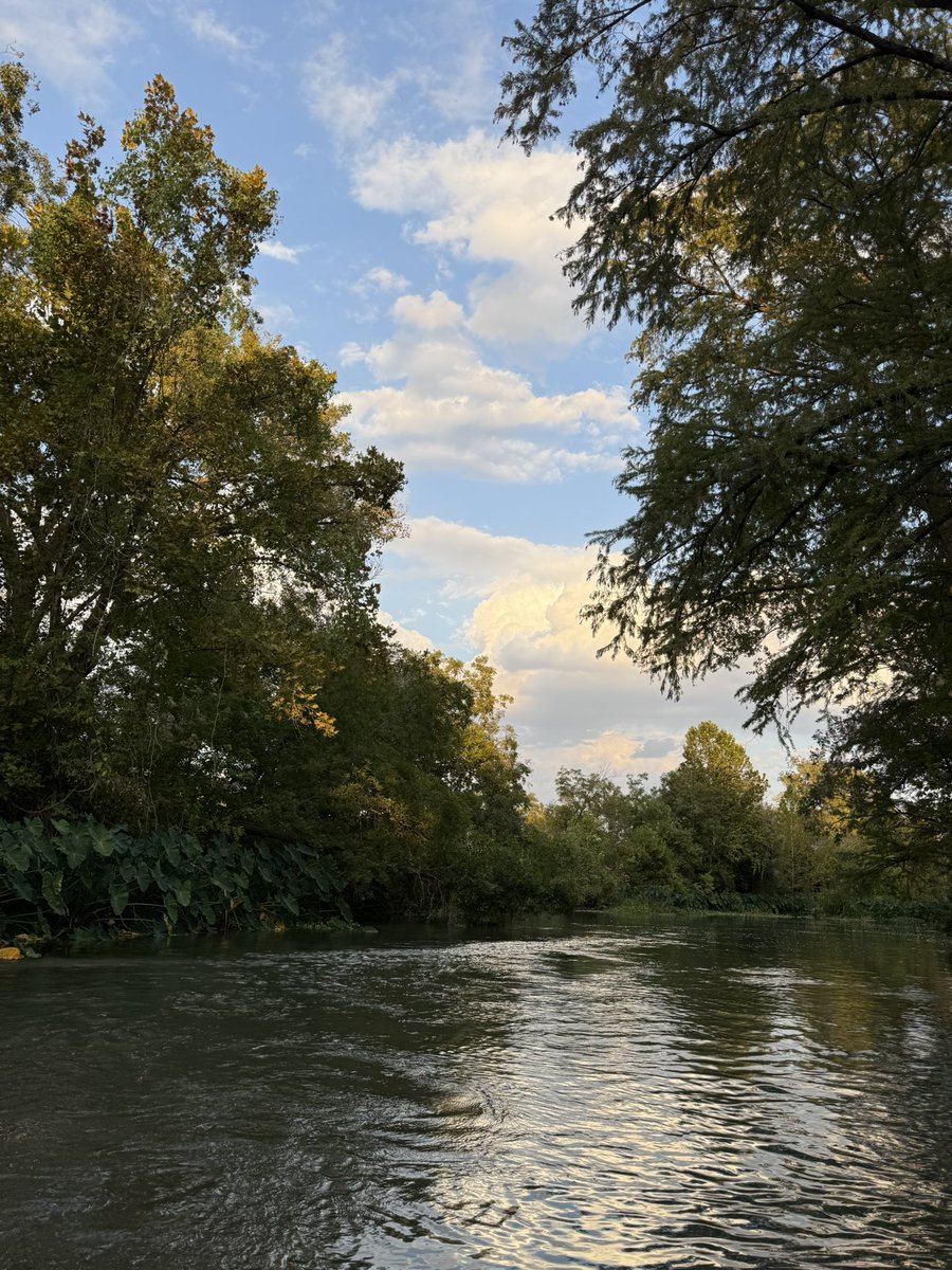 castoffyrdoubt's tweet image. life outside twt lately 🕯️♥️🍂