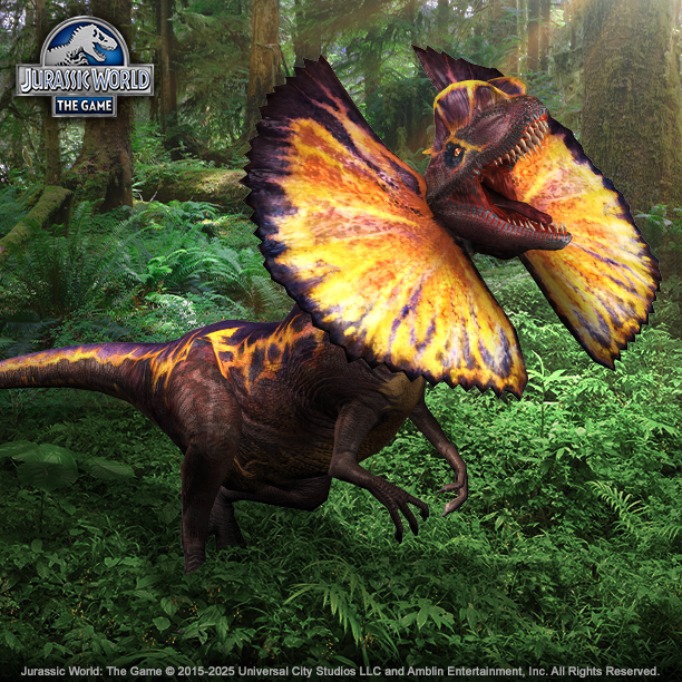 Bull.Falcon (@FalconBull) / Posts / X