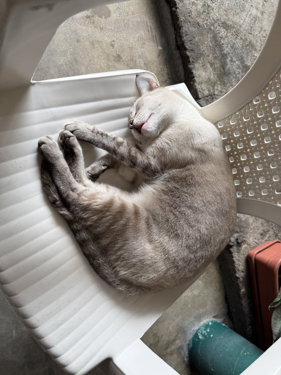 Quisiera tener esa paz mental