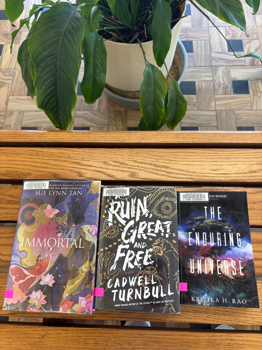 ConnLibrary's tweet image. 📚✨ New Fiction in Popular Reading!
Find fresh picks on Conn Library’s main floor:
Dark &amp;amp; Twisty, Sci-Fi Worlds, Fantasy Adventures
#NewBooks #PopularReads #ConnLibrary #FictionFix