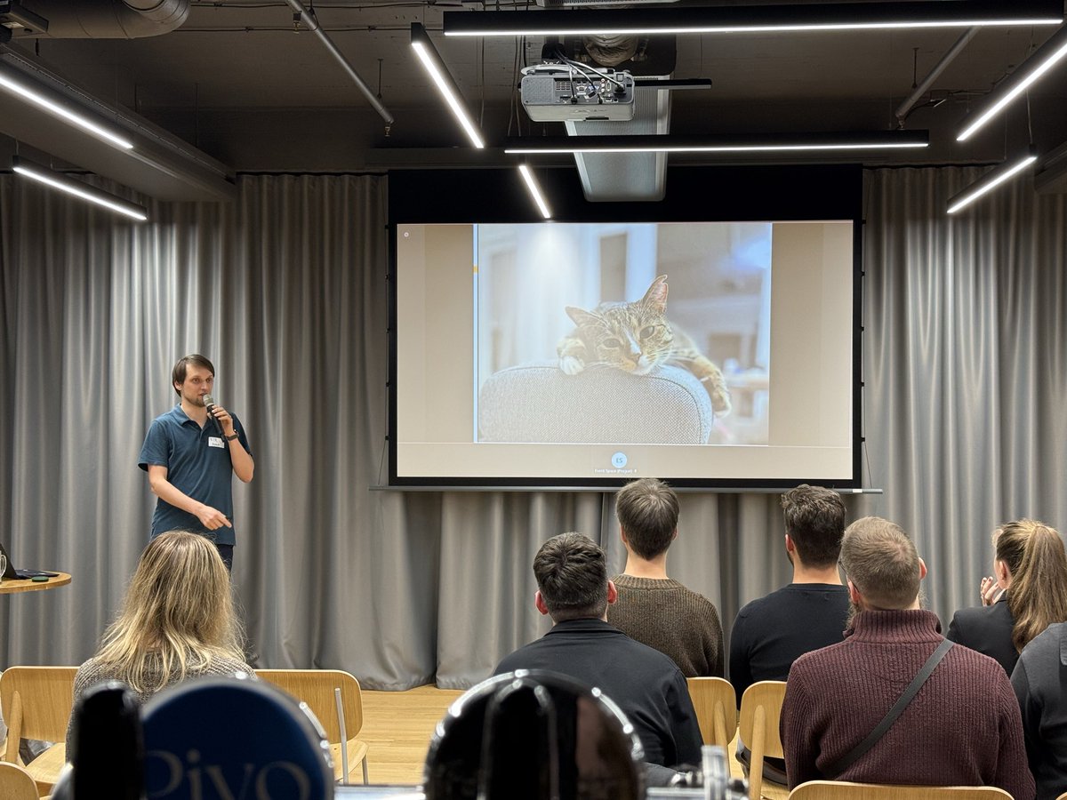 Kočička hledá domov