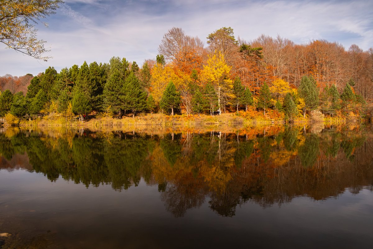 Aydin_BS_16's tweet image. Bende eksik kalmayayım 😁