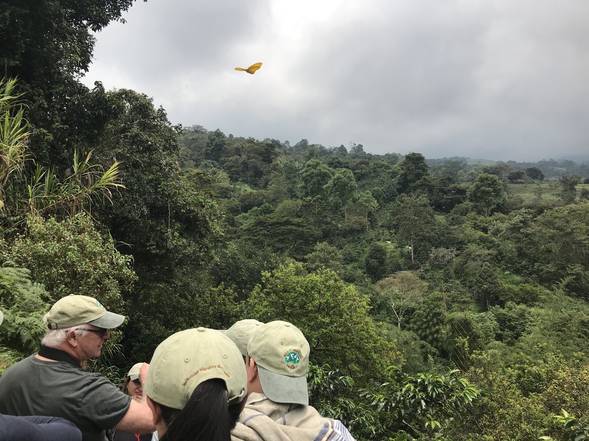 SMBC's tweet image. Can you spot the pollinator in this picture? When you #DrinkBirdFriendly certified coffee, you brew a more biodiverse, sustainable world not just for birds, but for other pollinators too! #Pollinators