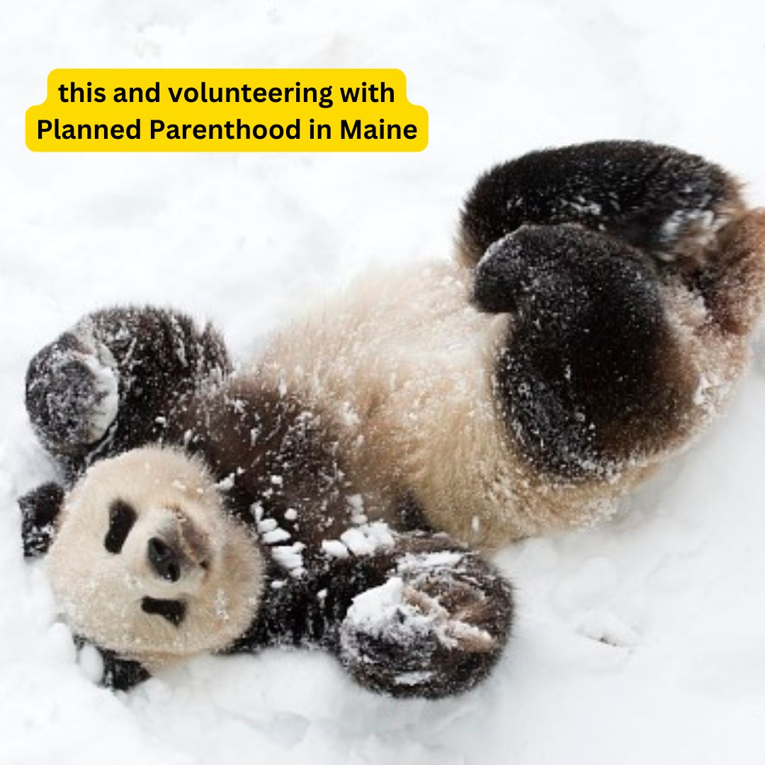PPMEAF's tweet image. Get a head start on your new year&apos;s resolution to take action and join the fight to protect and expand access to reproductive rights and care!

Sign up to volunteer with the Planned Parenthood Maine Action Fund Team!

weareplannedparenthoodaction.org/onlineactions/… 

#ReproRights
#IFightforPP
#Maine