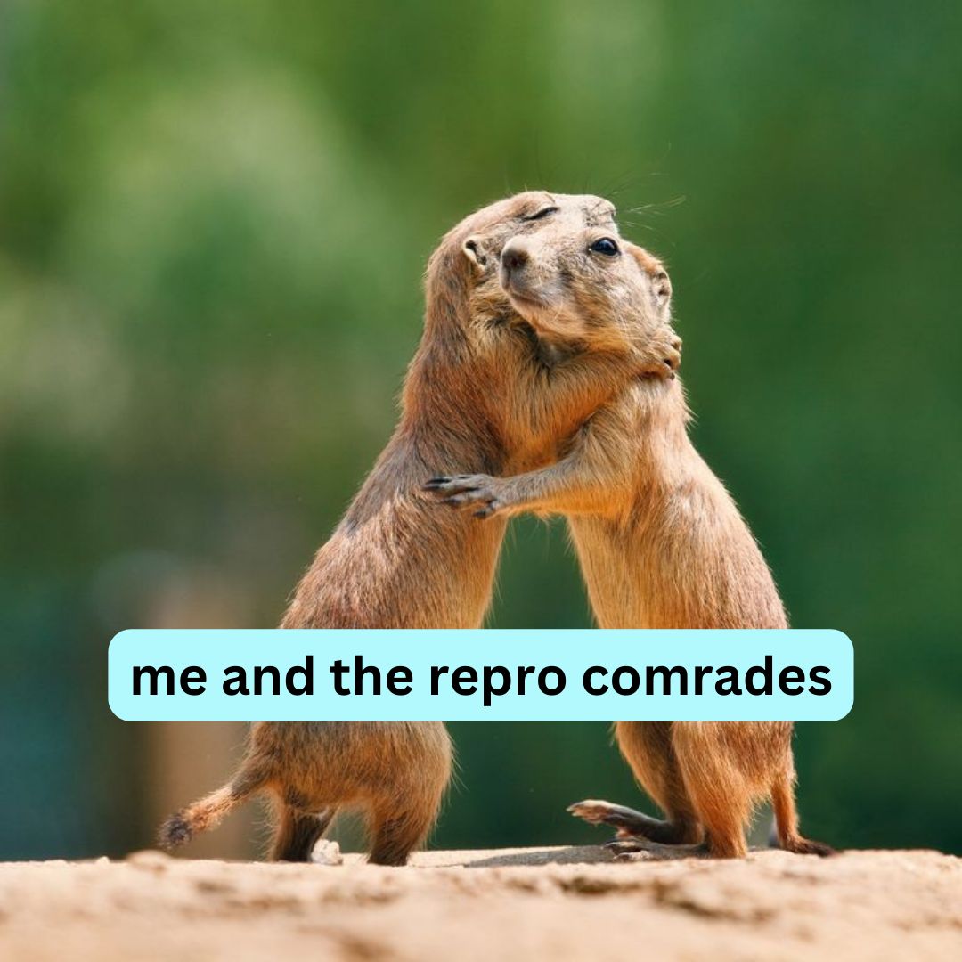 PPMEAF's tweet image. Get a head start on your new year&apos;s resolution to take action and join the fight to protect and expand access to reproductive rights and care!

Sign up to volunteer with the Planned Parenthood Maine Action Fund Team!

weareplannedparenthoodaction.org/onlineactions/… 

#ReproRights
#IFightforPP
#Maine