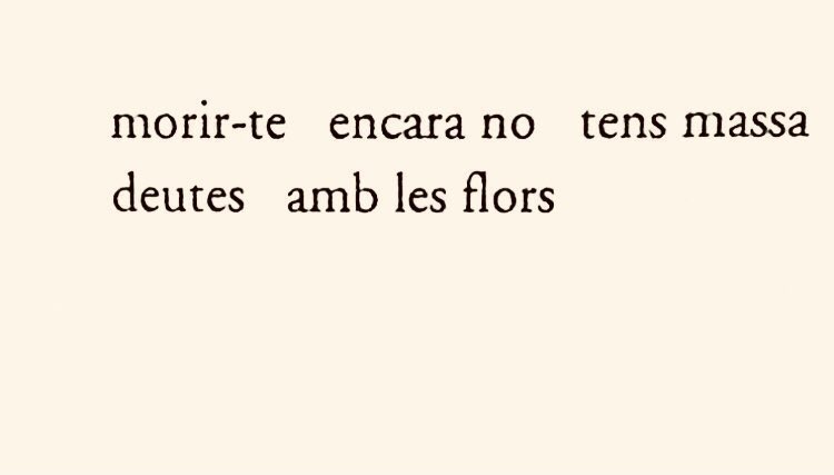 Antònia Vicens, Fred als ulls.