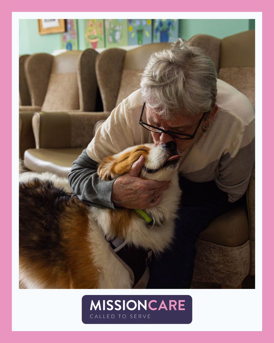 Mission Care tweet media