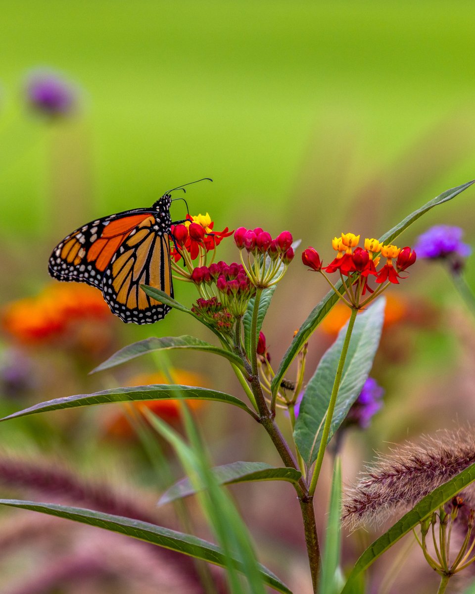 SentryWorld's tweet image. Physically, you’re scrolling on your phone. But mentally, where else would you rather be?