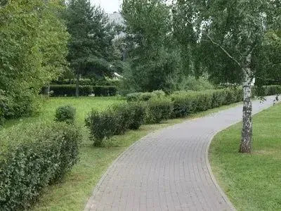 alex__amanov's tweet image. Exciting news! Introducing our new test vars - the perfect tool for optimizing your testing process. Get accurate results and streamline your workflow with ease. Try it now! 🎁 #testing #optimize #newproduct