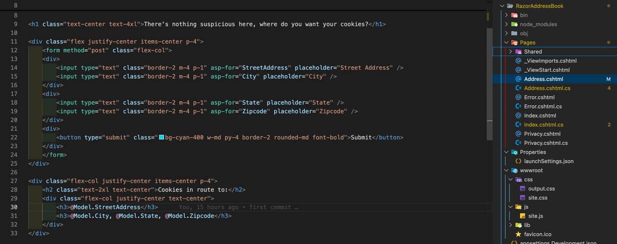 devsixstrings's tweet image. Back on my Mac after some WinForms/WPF work. Had to use Razor Pages and remembered I’m not a Bootstrap fan. So I JS’d my .NET, added Node, tossed in Tailwind… and boom — Razor Pages in the 25th century. 
Here’s a quick test I ran to make sure it worked.