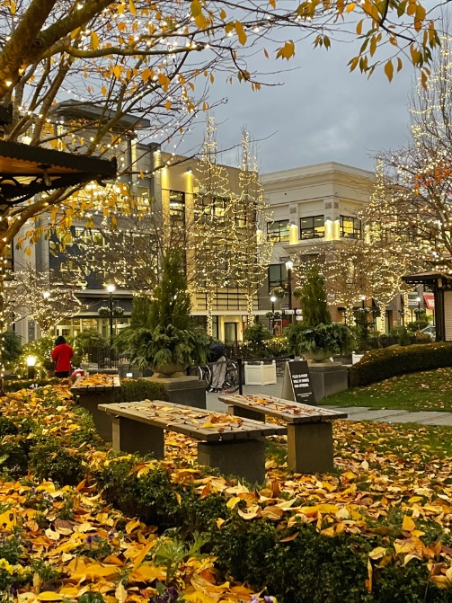 cloudy444_n's tweet image. Thank you #Victoria You are beautiful! What a fun couple of days. #BritishColumbia