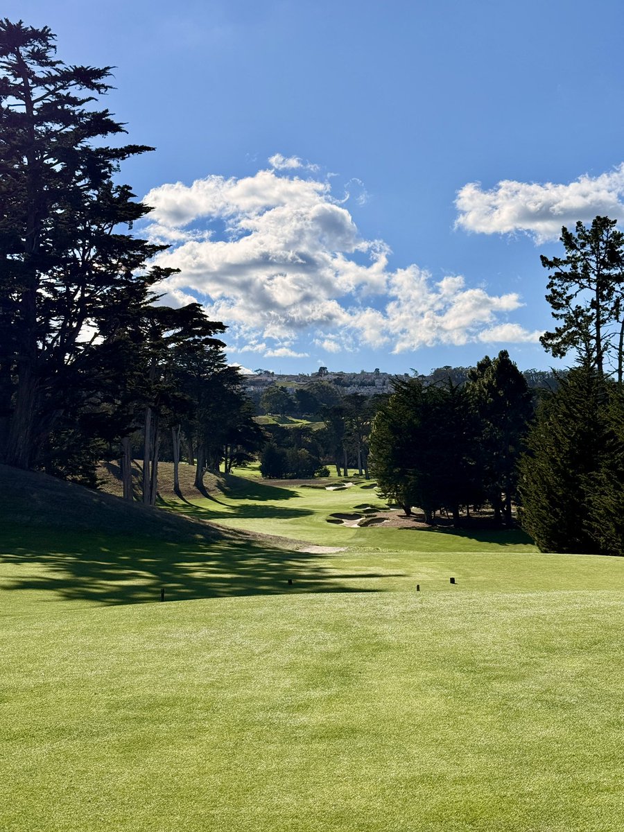 Max’s Golf Quest tweet media