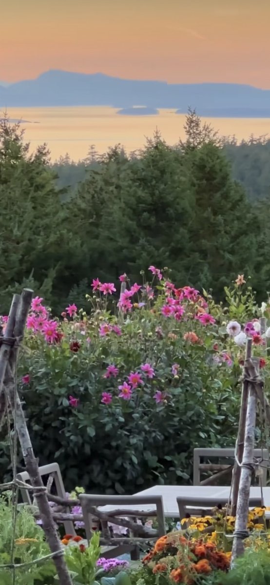 Καλό βράδυ, όαση ομορφιάς και ηρεμίας.