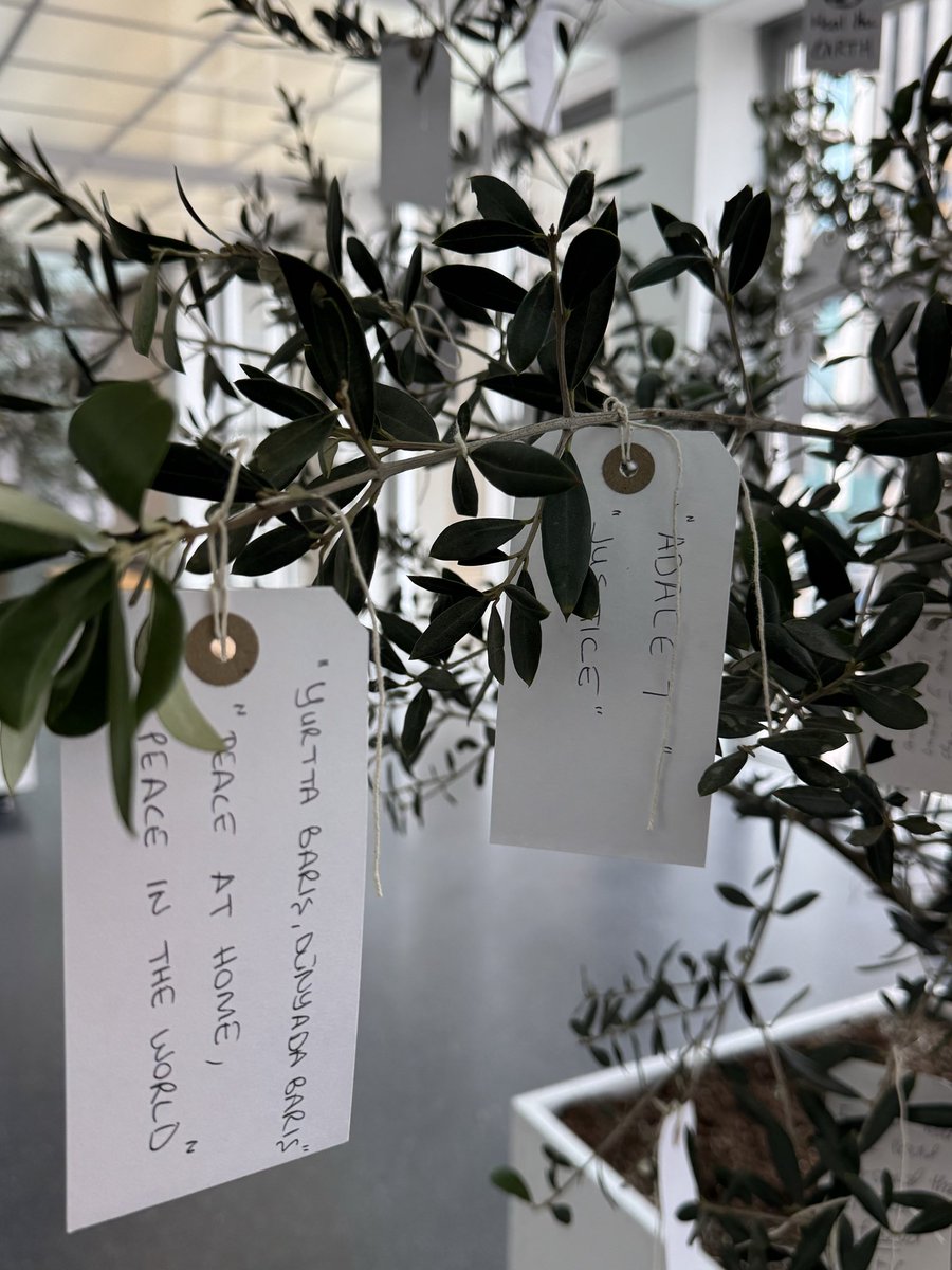 EfiSemizoglu's tweet image. #yokoonomusicinthemind #wishtree