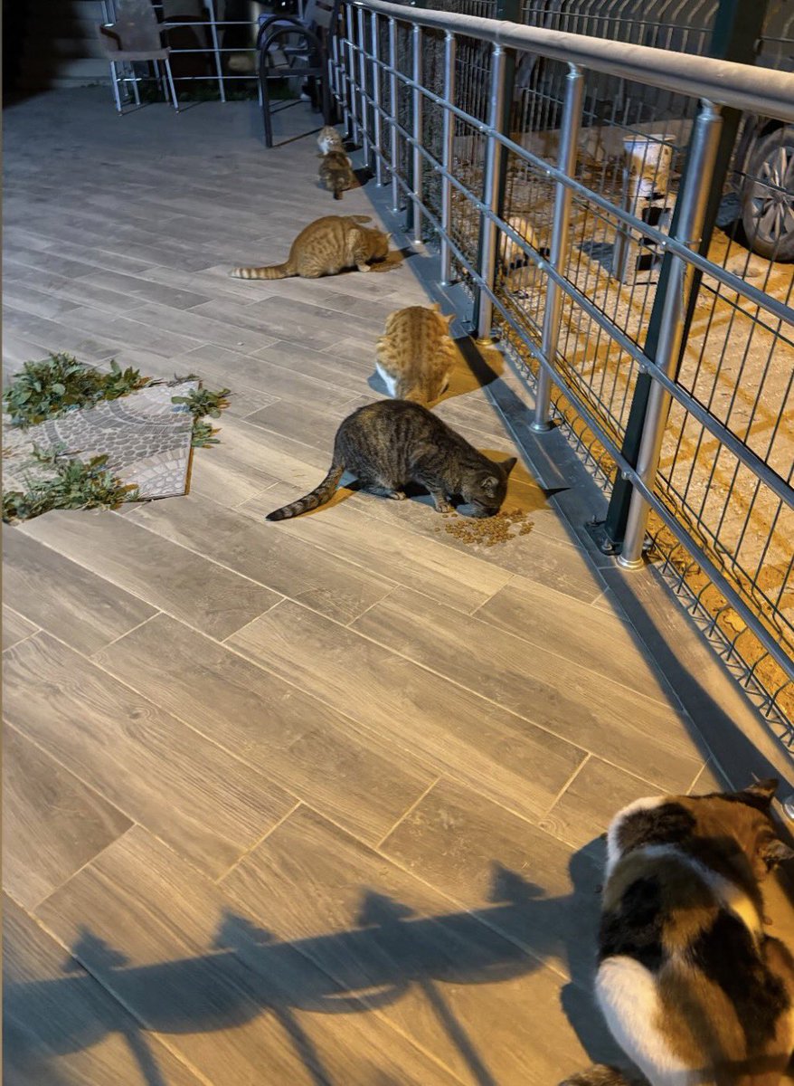 Ali (@aliucarb) on Twitter photo 