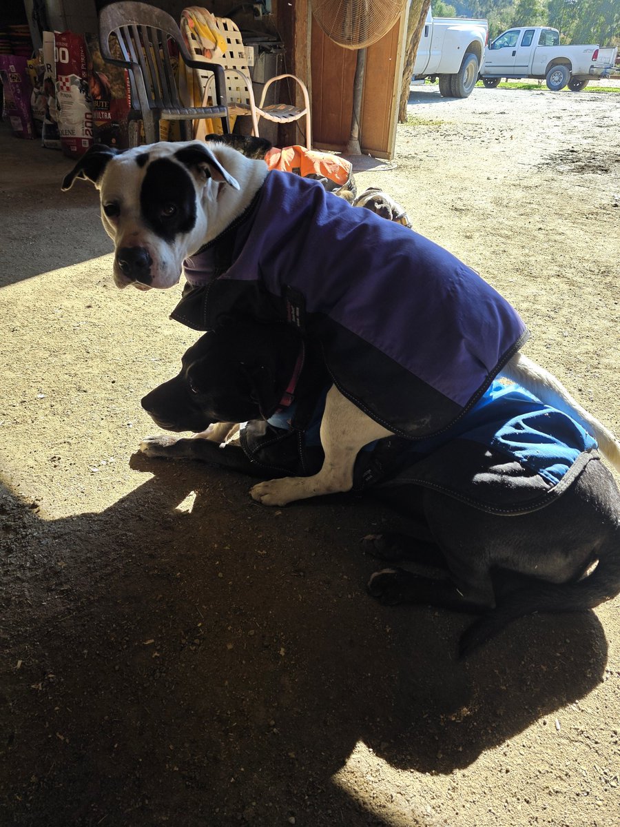 What the hell is even happening here?