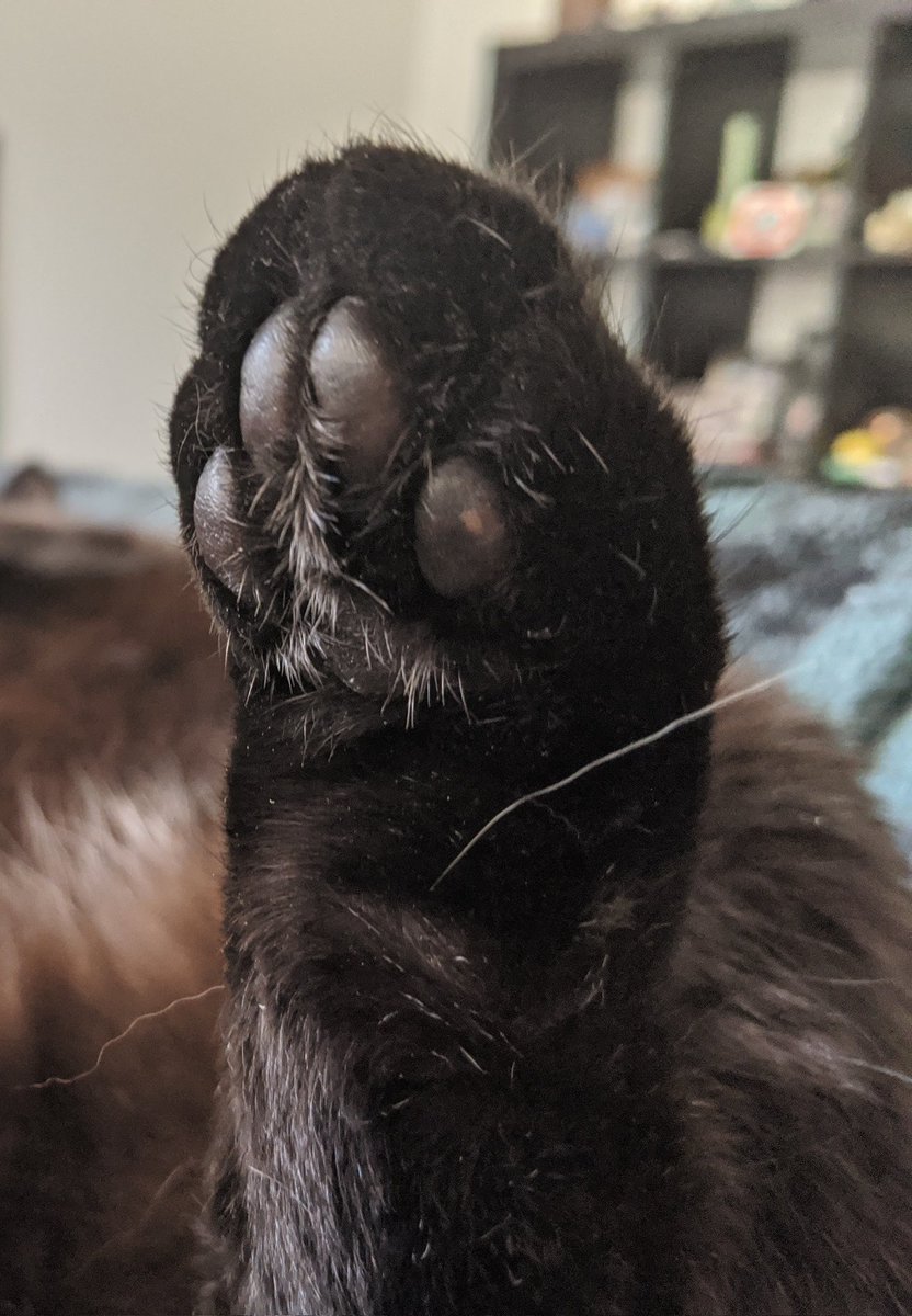 <a href="/biancosayshello/">Bianco 🤍</a> Oh hey