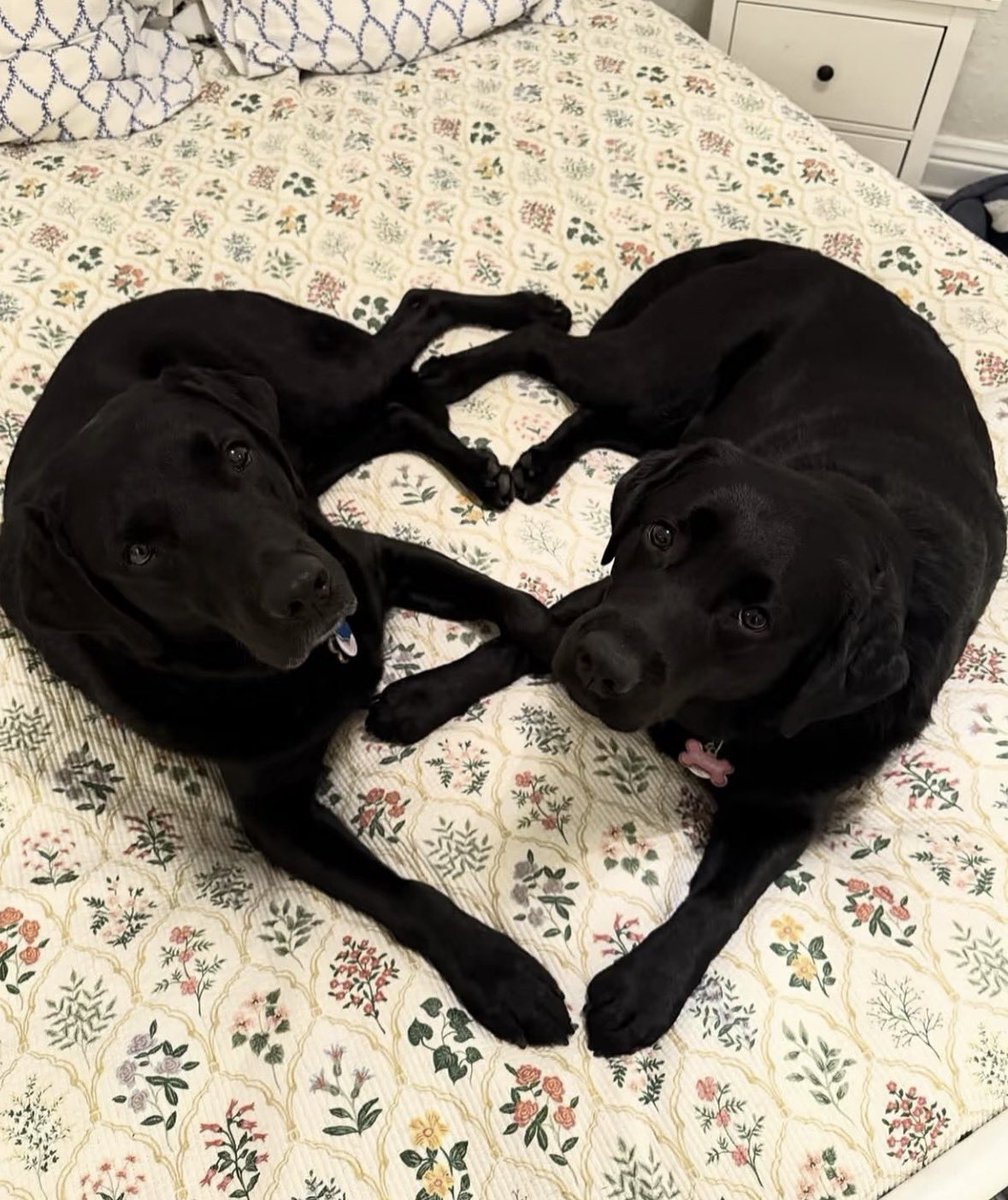 twaniimals's tweet photo. https://t.co/JgY1vbmPZ2