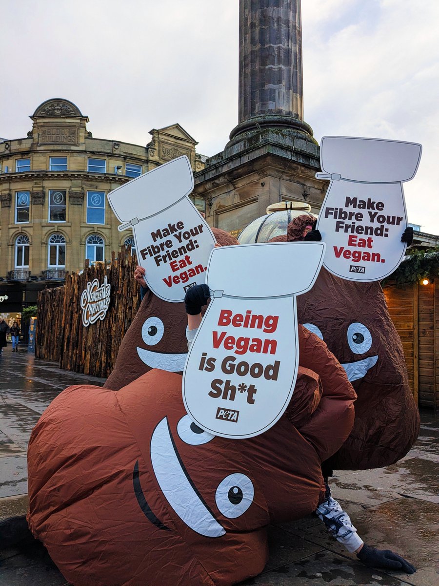 PETAUK's tweet image. 💩 The North East has been crowned the UK’s most constipated region so PETA’s poop brigade headed to Newcastle with a message:
Being vegan is good sh*t.
Ditch meat, eggs, and dairy and get your number twos moving.

#WorldToiletDay #VeganHumour #GoodShit