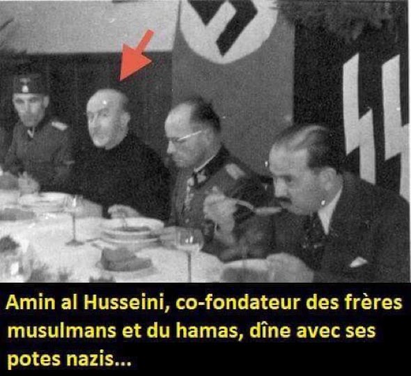 LeEcureil's tweet image. Je comprends mieux ton racisme