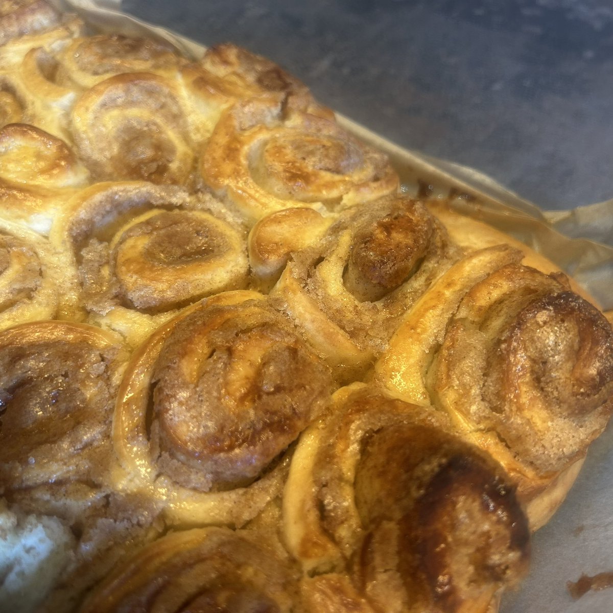 Hannah Louise tweet media