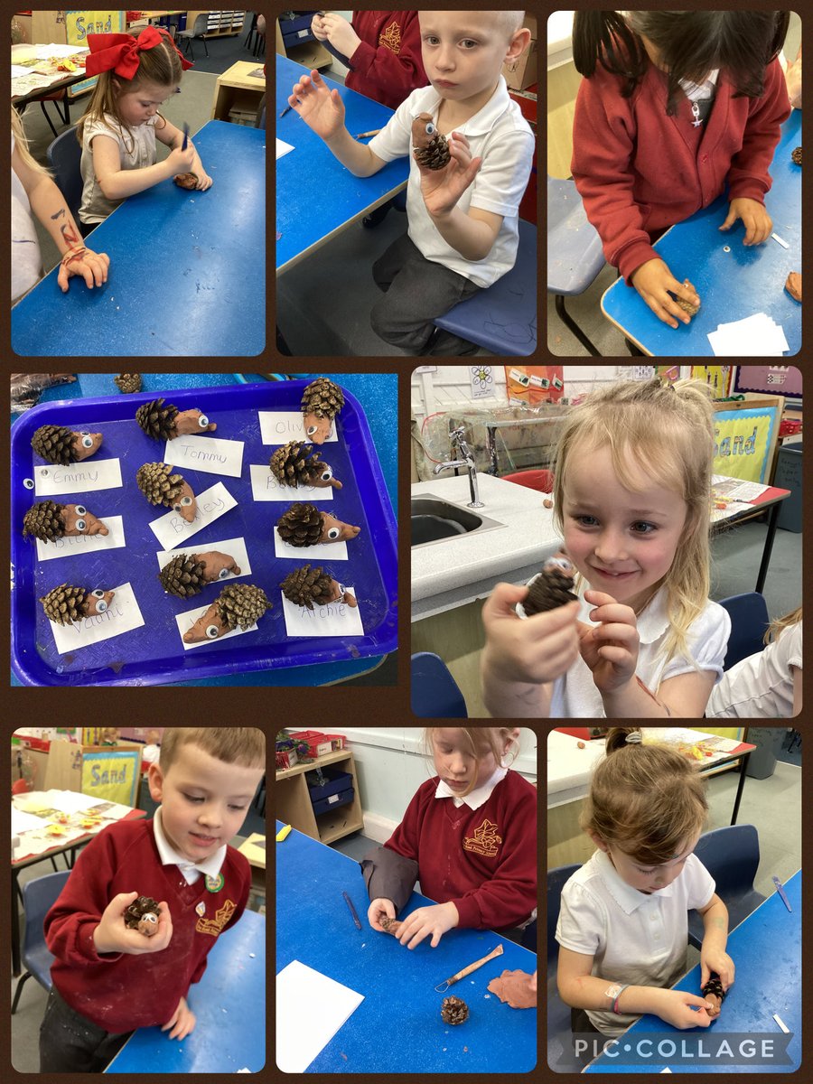 Ivy Road Primary tweet media