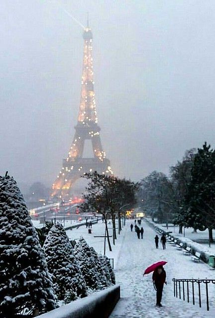 talya9646171863's tweet image. winter in Paris ⛄🧣