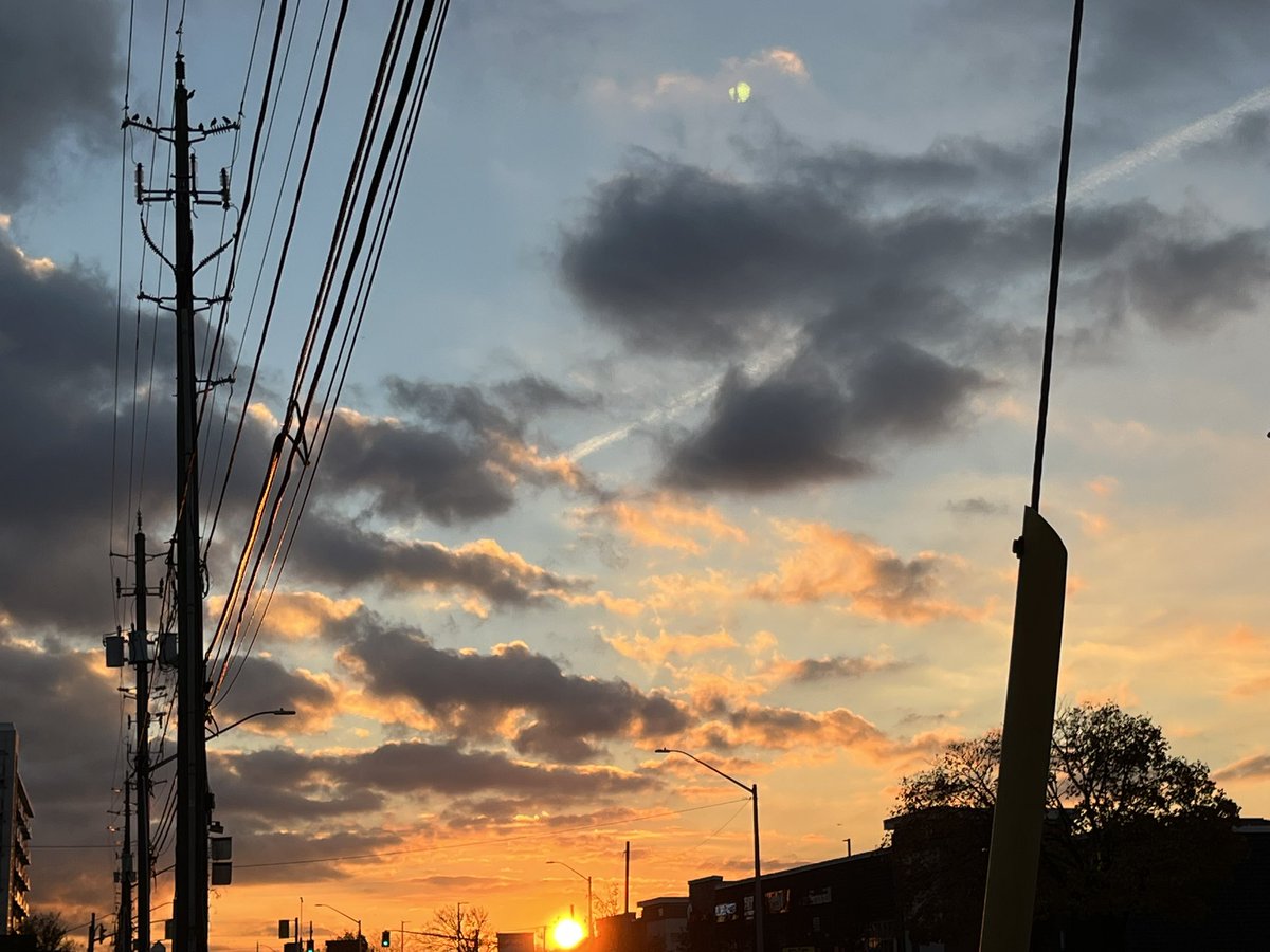 alex🪻(29.0) tweet media