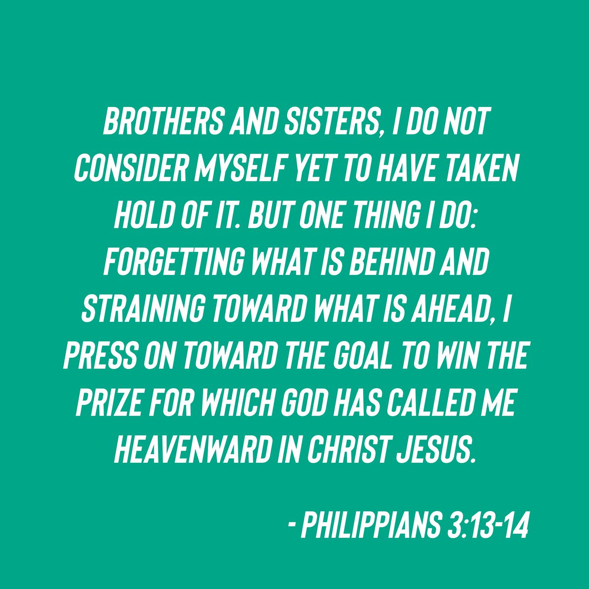 Scott Wilson tweet media