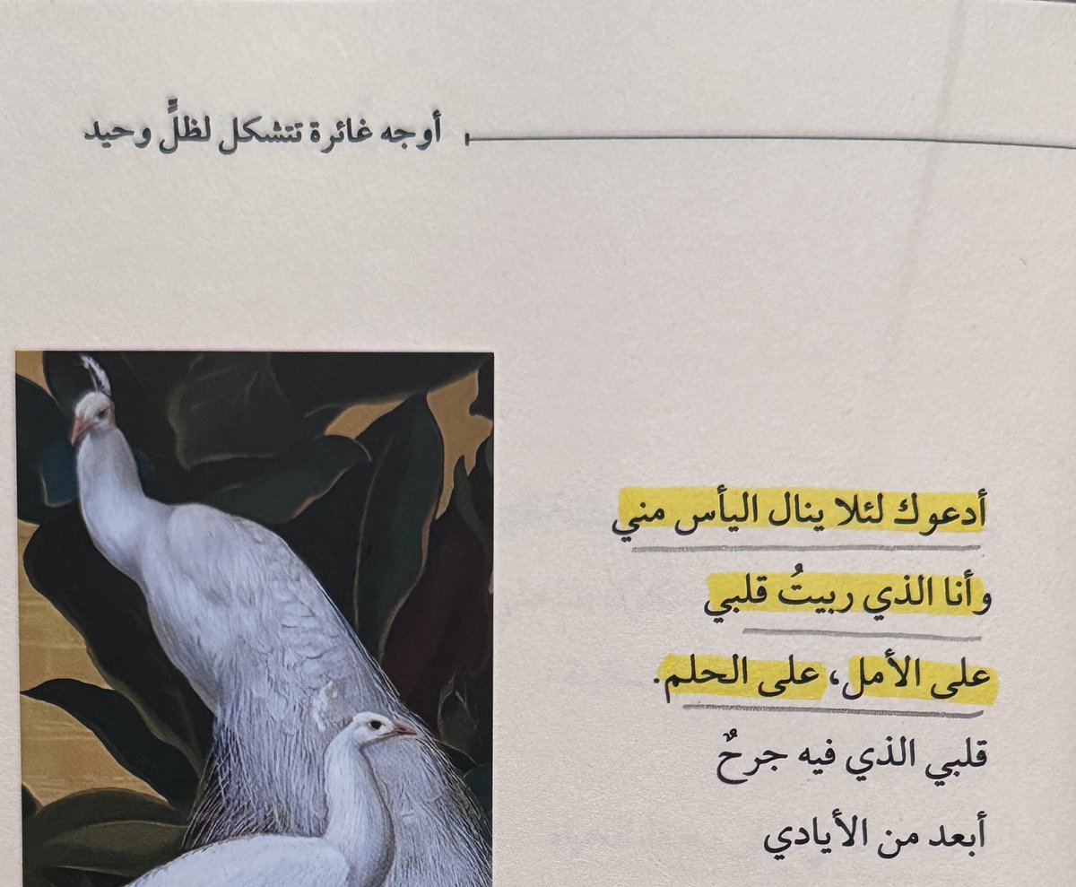 ظلّ. (@cieull) on Twitter photo 