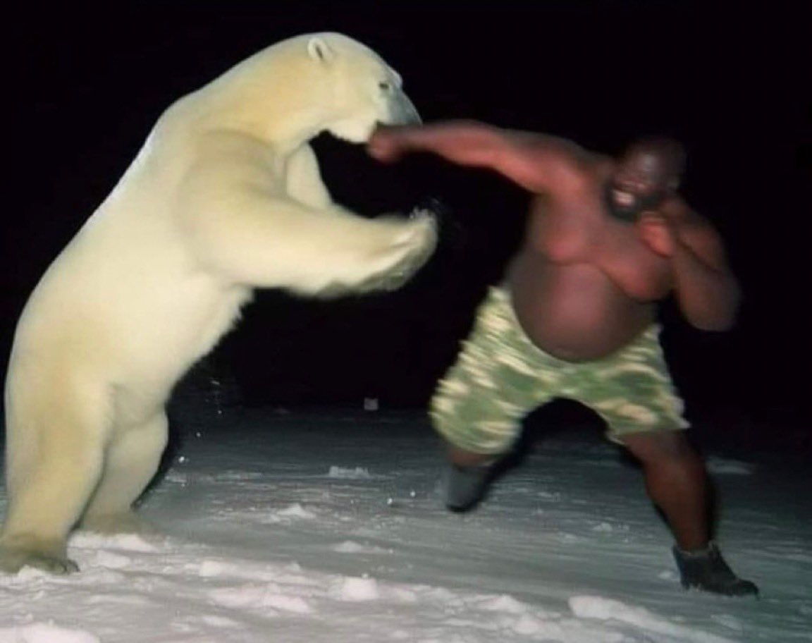 vxlxcsz's tweet image. “vc prefere trair ou sair na mão com um urso polar?”

euu: