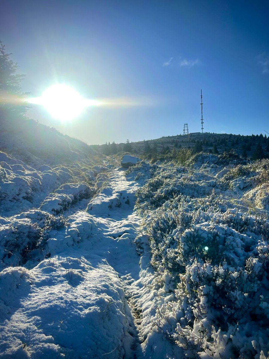 ACVDW's tweet image. ❄️ 💙