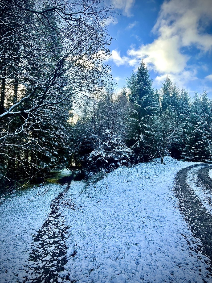 ACVDW's tweet image. ❄️ 💙