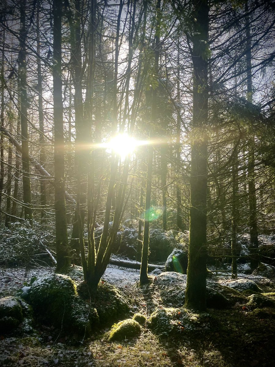 ACVDW's tweet image. ❄️ 💙