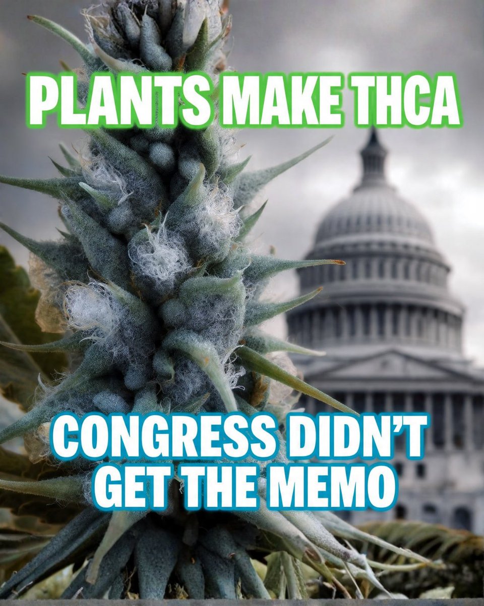 DescheduleEarth's tweet image. It&apos;s plain to see some in Washington are missing the big picture, or maybe they just didn&apos;t get the memo from Mother Nature. Plants create THCa naturally, it&apos;s not psychoactive until heated. Our laws should reflect reality and protect small growers and businesses, not punish them…