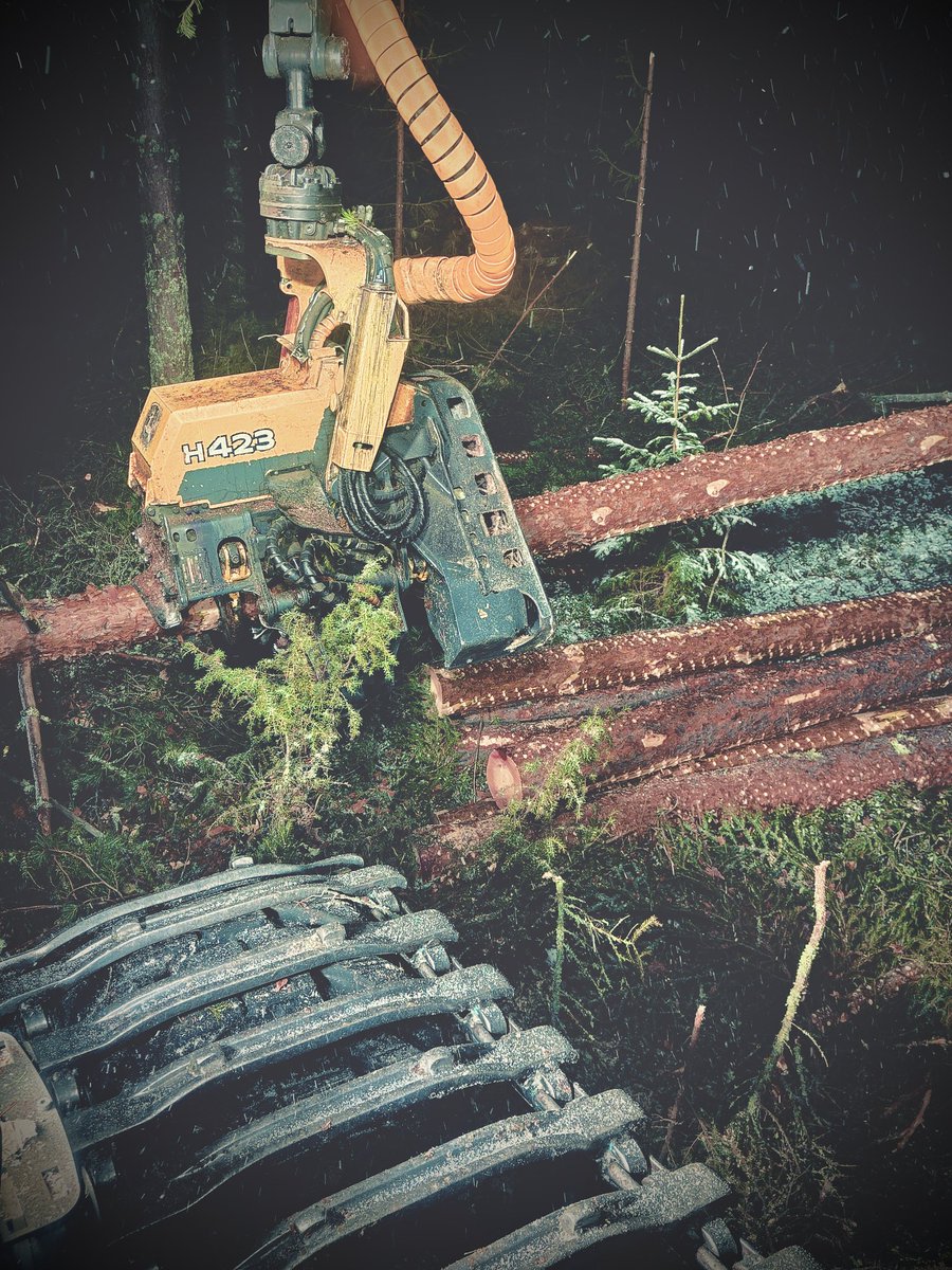 This is pretty far away from trenches...