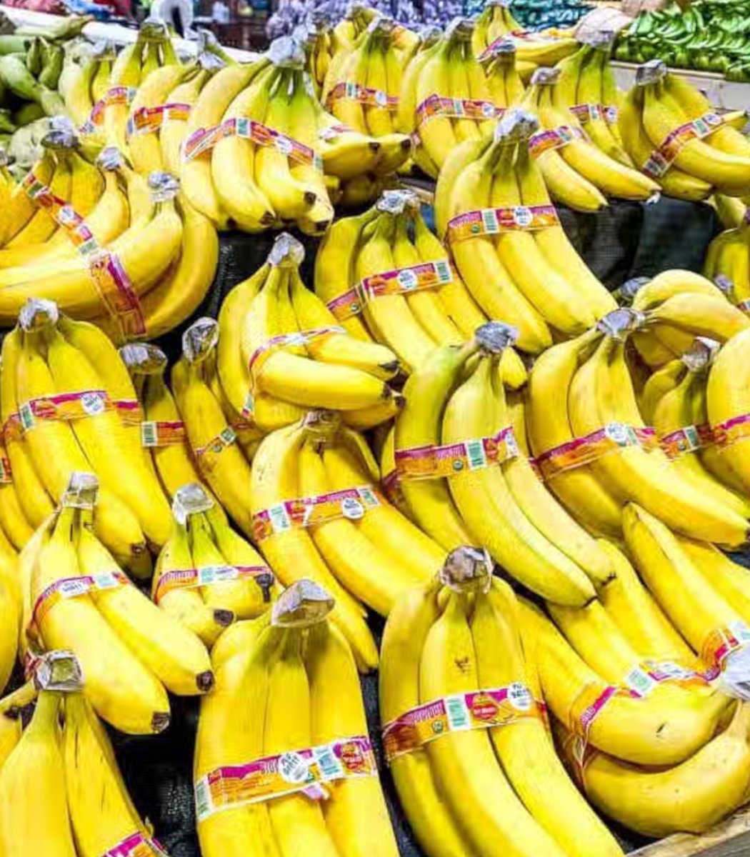 nathans_codes_2's tweet photo. One year ago today, Silksong released despite numerous banana listings https://t.co/YRusfBw4NL